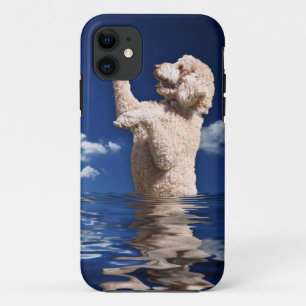 Standard Poodle Reflections iPhone 11 Case