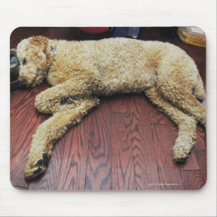 Standard Poodle Sleeping on Floor Mouse Mat