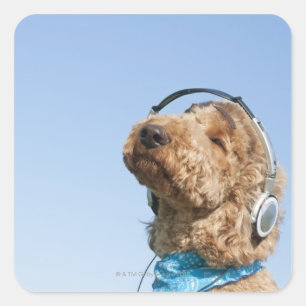 Standard Poodle Square Sticker