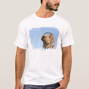 Standard Poodle T-Shirt