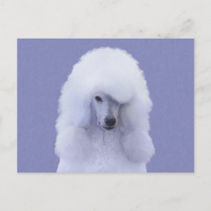 Standard Poodle White Painting - Original Dog Art Postcard