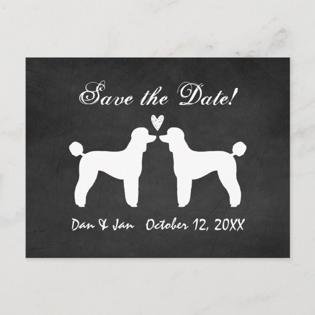 Standard Poodles Chalkboard Wedding Save the Date Announcement Postcard (Front)