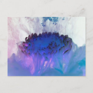 Standard Postcard
