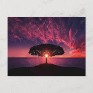 Standard Postcard