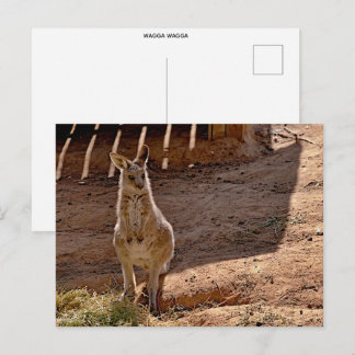 standard postcard