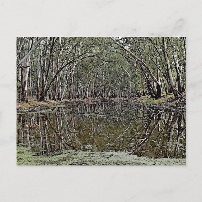 Standard postcard (Front)