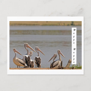 standard postcard