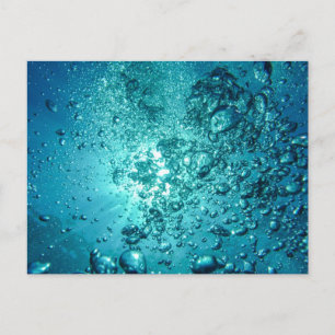 Standard Postcard