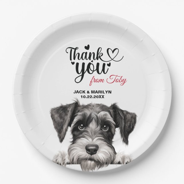 Standard Schnauzer Paper Plate (Front)