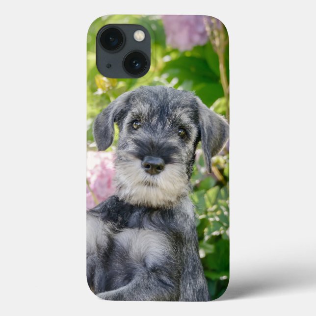 Standard Schnauzer Puppy in a Flowering Garden -  Case-Mate iPhone Case (Back)