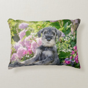 Standard Schnauzer puppy in a flowering garden Decorative Cushion