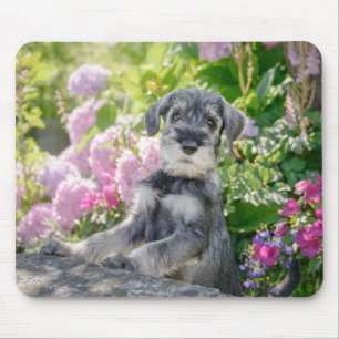 Standard Schnauzer puppy in a flowering garden Mouse Mat
