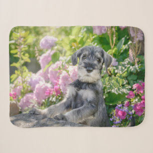 Standard Schnauzer Puppy in a Flowering Garden Sherpa Blanket