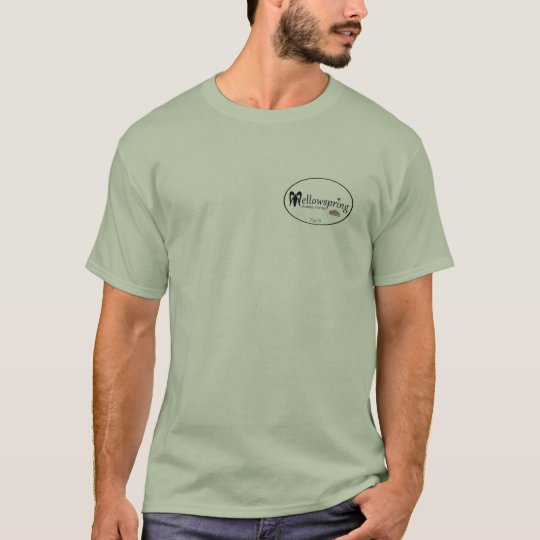 Standard t-shirt, coloured T-Shirt