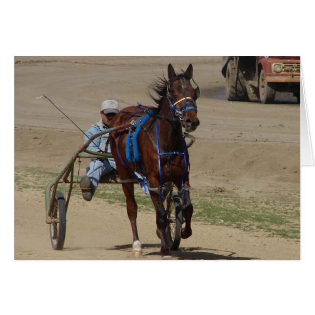 Standardbred (Front Horizontal)