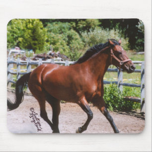 Standardbred Horse Galloping Mousepad