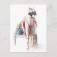 Standardbred Horse