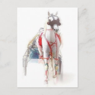 Standardbred Horse Postcard