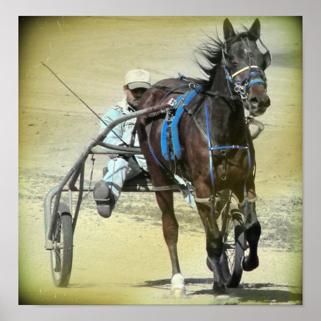 Standardbred Poster (Front)