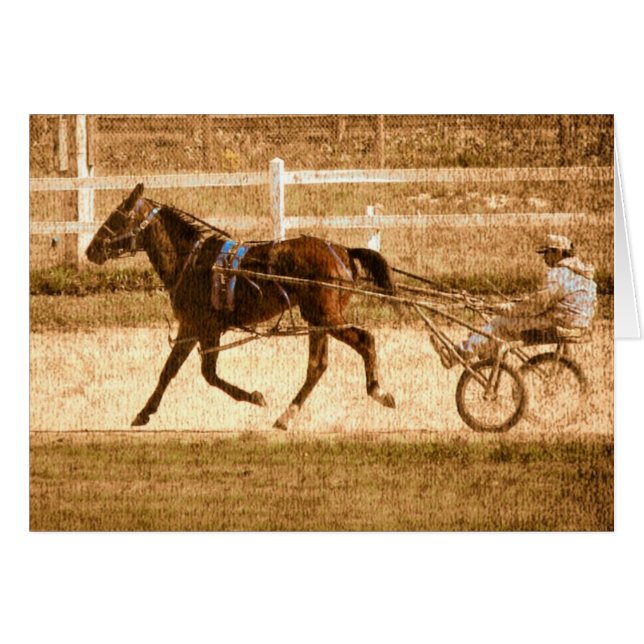 Standardbred Race Horse (Front Horizontal)
