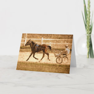Standardbred Race Horse Card