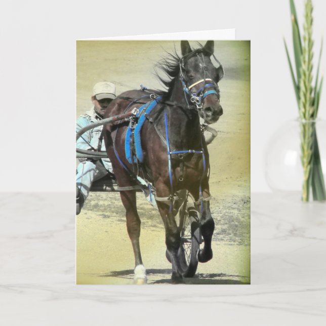 Standardbred Race Horse Card (Front)