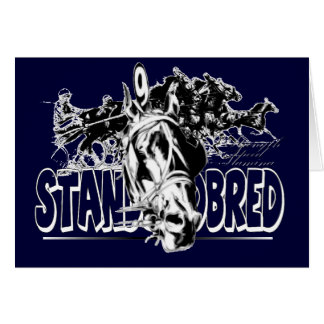 Standardbred Racing