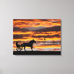 Standardbred Trotting Racehorse Canvas Print