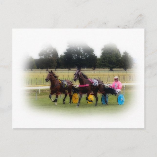 Standardbreds at the Racetrack Postcard (Front)
