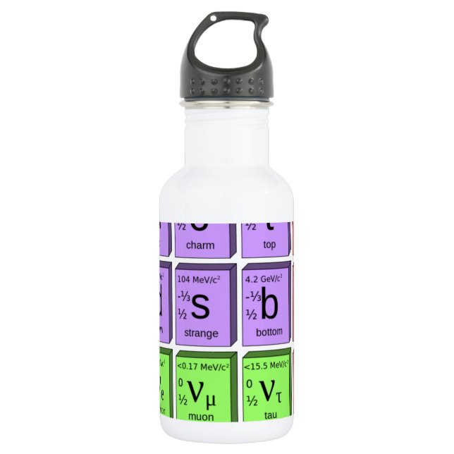 Standart model of elementary particles 532 ml water bottle (Front)