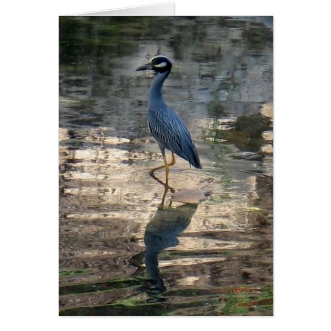 Standing Around (Front)