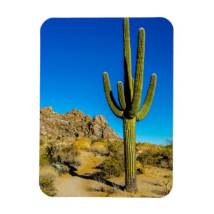 Standing Cactus Magnet
