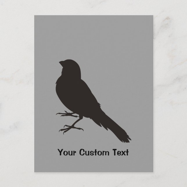 Standing Canary Bird Postcard (Front)