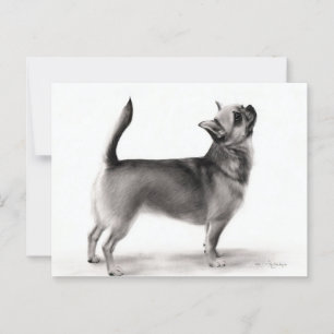 Standing Chihuahua Hand Painted Dog Artwork Postcard