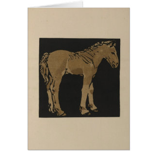 Standing Colt