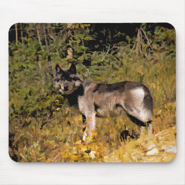Standing Grey Wolf & Forest Wildlife Photo Art Mouse Mat (Front)