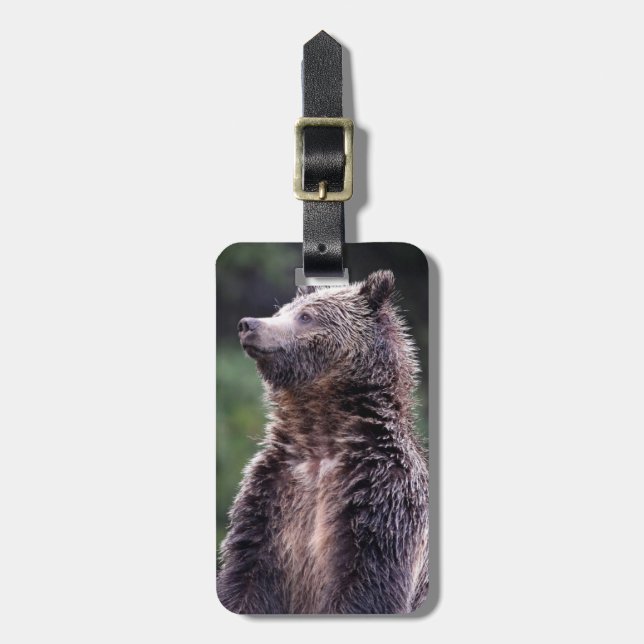 Standing Grizzly Bear Luggage Tag (Front Vertical)