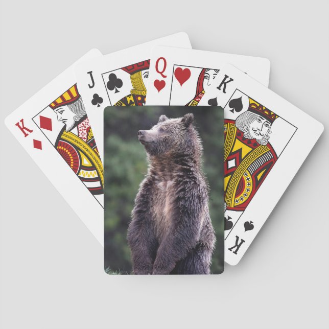 Standing Grizzly Bear Playing Cards (Back)