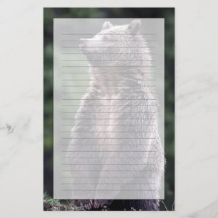Standing Grizzly Bear Stationery