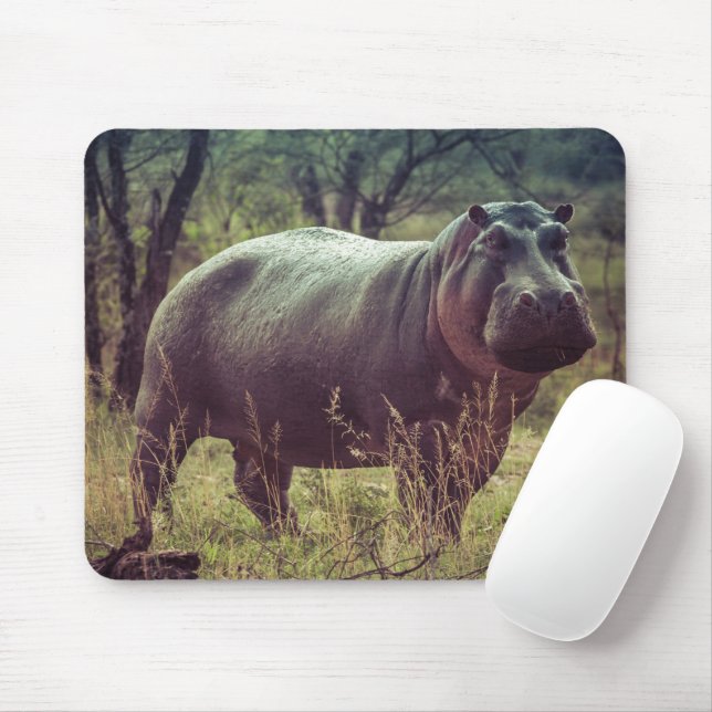 Standing Hippo Posing at Camera in Africa Foliage Mouse Mat (With Mouse)