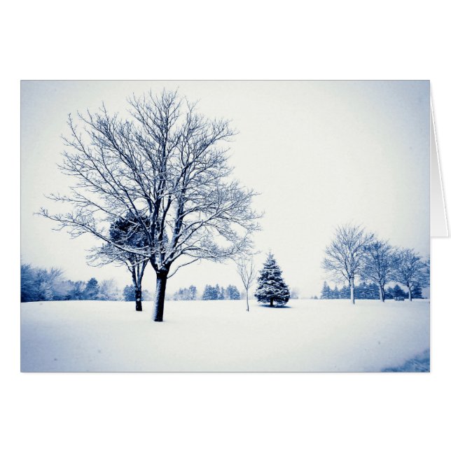 Standing In The Snow (Front Horizontal)