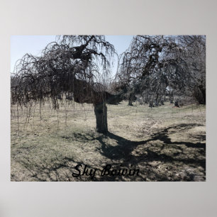 Standing in the wind poster