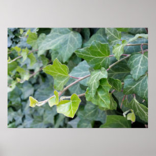 standing out 2 poster