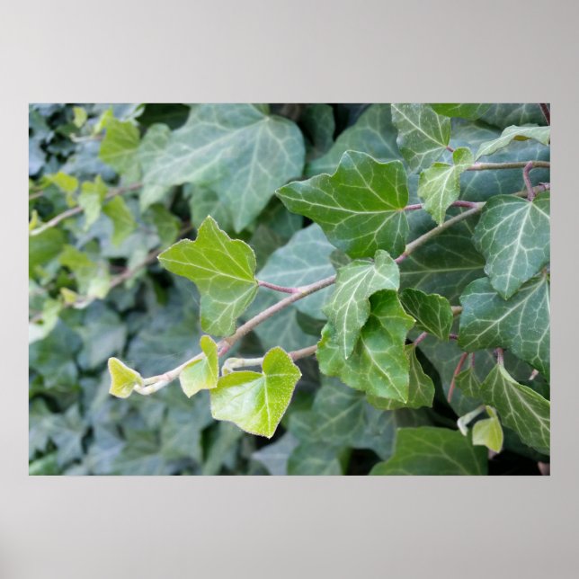 standing out 2 poster (Front)