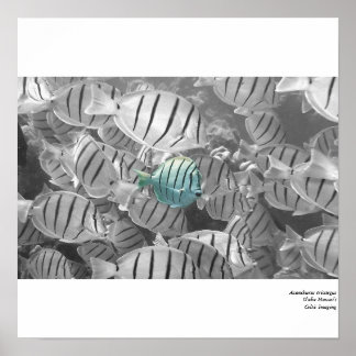 Standing out from the crowd poster