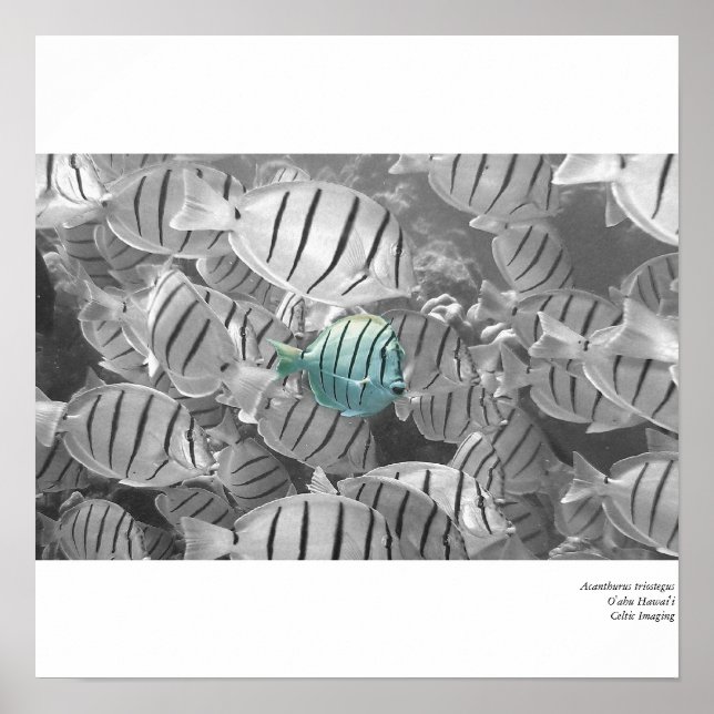 Standing out from the crowd poster (Front)