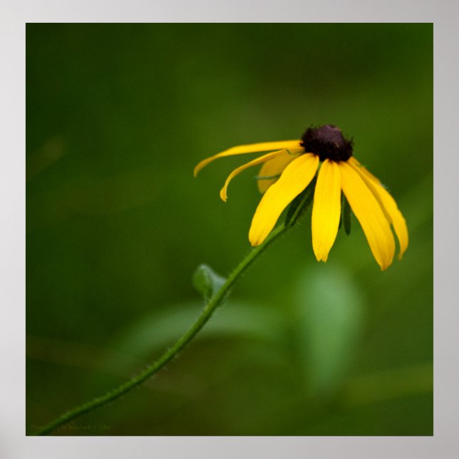 Standing Out Print (Front)