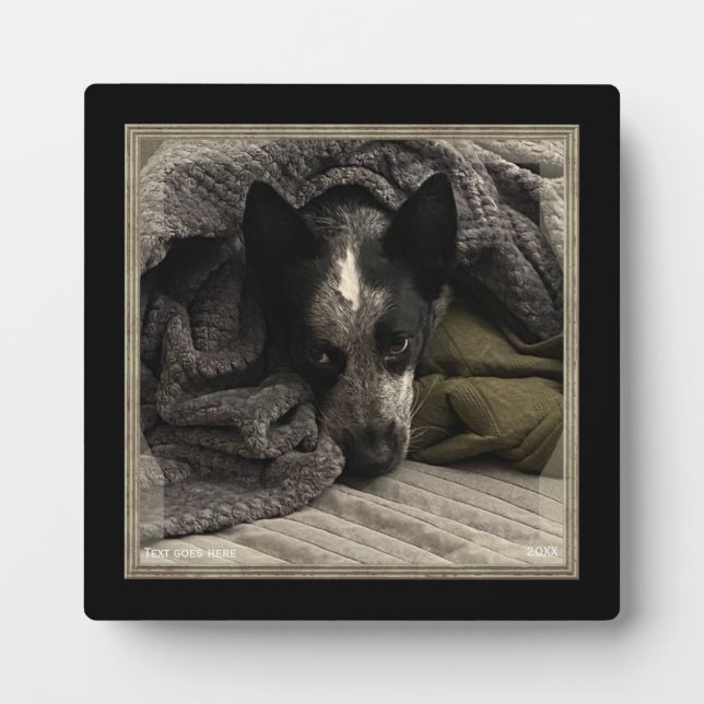 Standing Picture with Faux Metal Frame HAMbWG (Front)