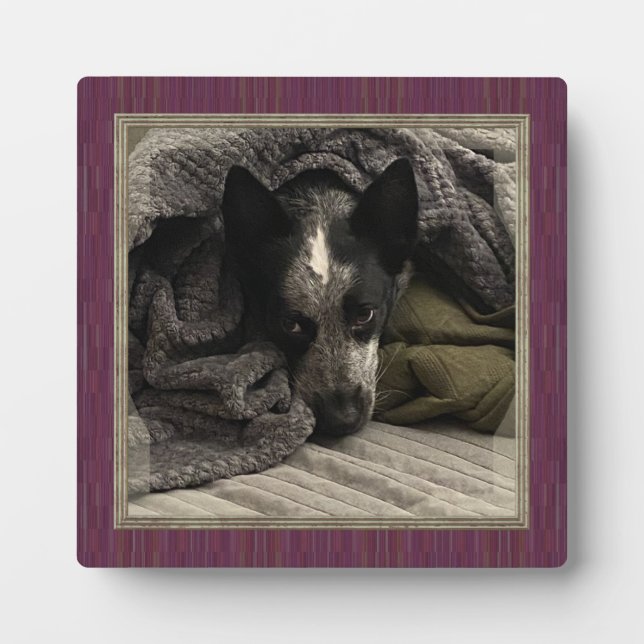 Standing Picture with Faux Wood Frame HAMbWG (Front)