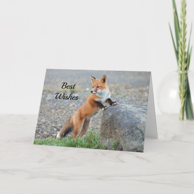 Standing Red Fox Congratulations Wedding Card (Front)